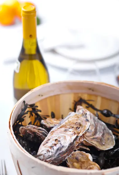 Wooden bucket with oysters and seaweed — Stock Photo, Image