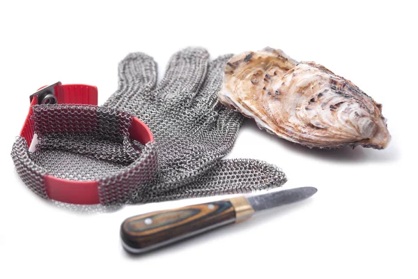 stock image Chain Gloves for opening of oysters