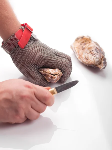 Chain Gloves for opening of oysters — Stock Photo, Image