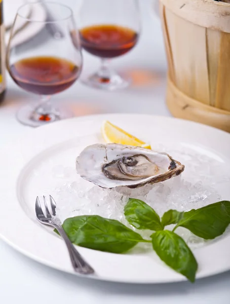Fresh Oyster on a dish with ice — Stock Photo, Image