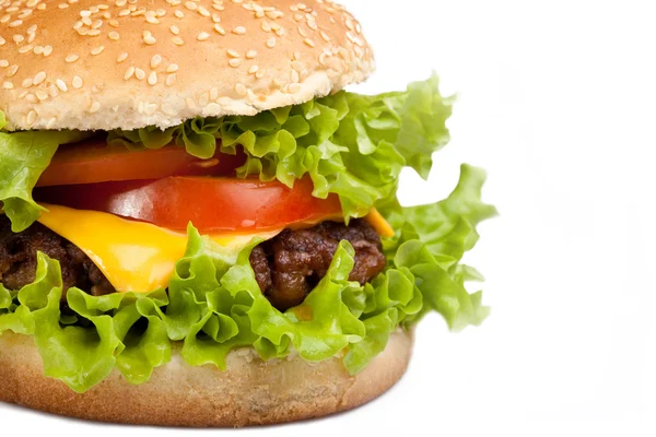 Hamburger savoureux isolé — Photo
