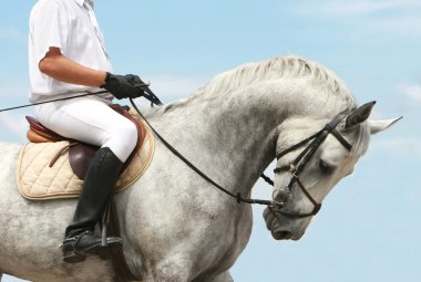 portrait of a beautiful young woman on the horseback  clipart