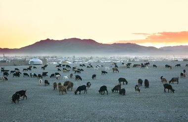 Herd of goats clipart