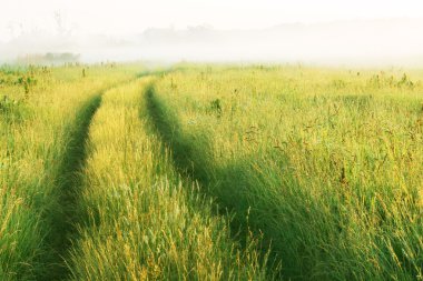 Road through the meadow clipart