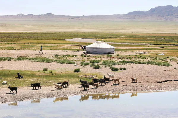 Mongolsko — Stock fotografie