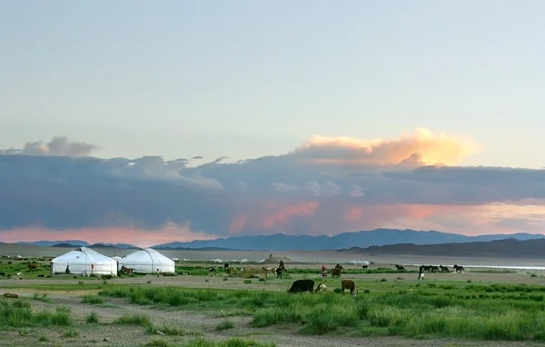 Mongolische Landschaft — Stockfoto