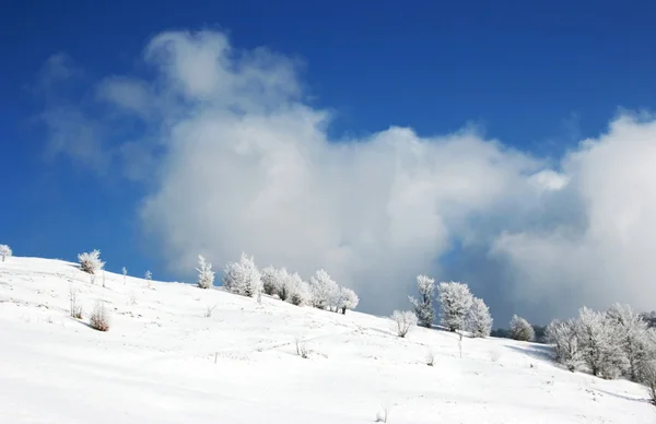 Vinter scener — Stockfoto