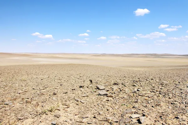 Gobi-Wüste Stockbild