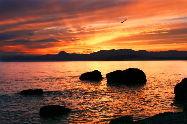 Krásná sunset — Stock fotografie