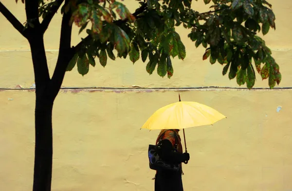 Sárga esernyő — Stock Fotó