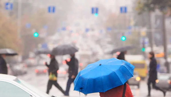 푸른 우산 — 스톡 사진