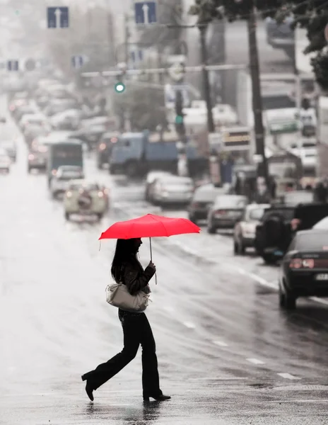 Rode paraplu — Stockfoto