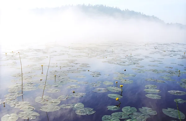 Brouillard matinal sur un lac forestier sauvage à Karel — Photo