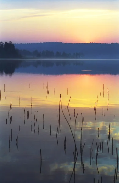 Wschód słońca na dzikim jeziorze leśnym — Zdjęcie stockowe