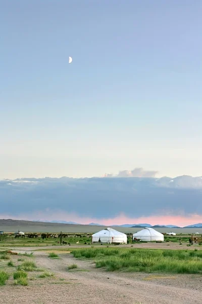 Монгольский пейзаж — стоковое фото