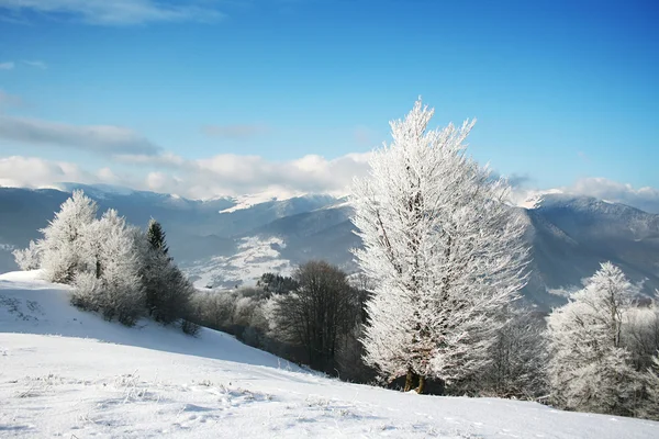 stock image Winter landscape