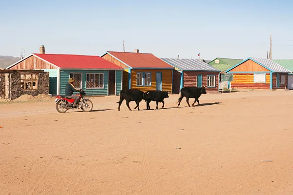 Традиционная монгольская деревня — стоковое фото