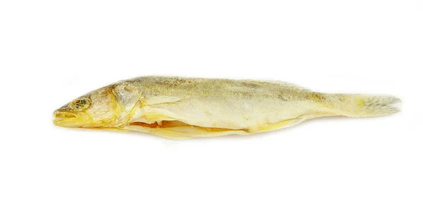 Roach ψάρια — Φωτογραφία Αρχείου