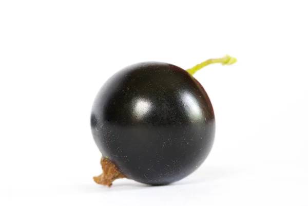 Black currant — Stock Photo, Image