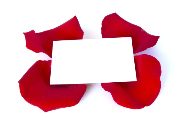 Message on a petals — Stock Photo, Image