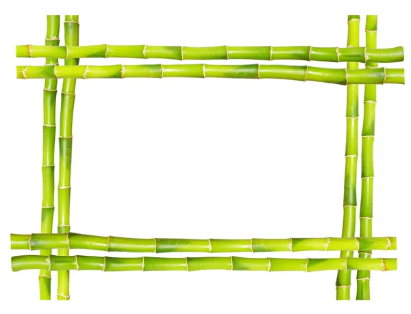 Bamboe frame — Stockfoto