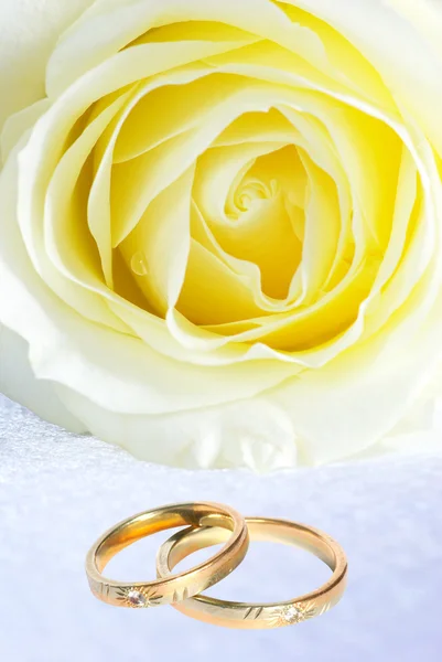 Gyűrűk és rose — Stock Fotó