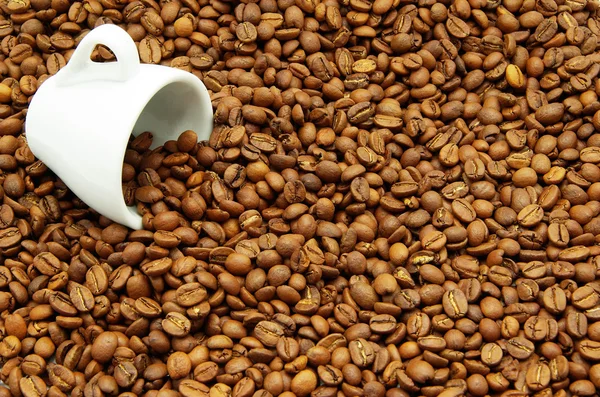 Ziarna kawy w filiżance — Zdjęcie stockowe