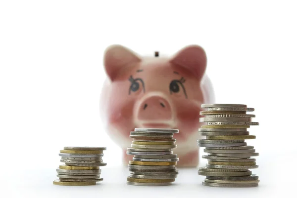 Piggy bank and coins — Stock Photo, Image
