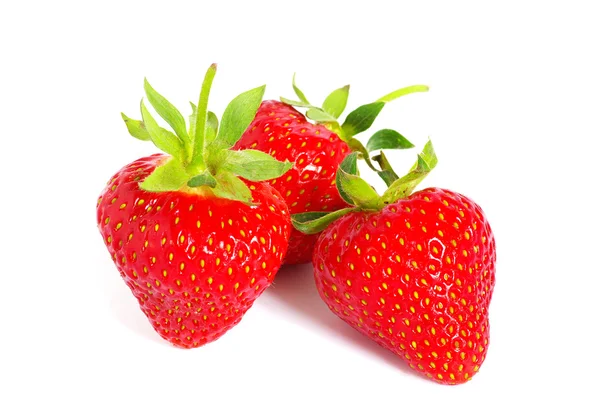 Strawberry Royalty Free Stock Images