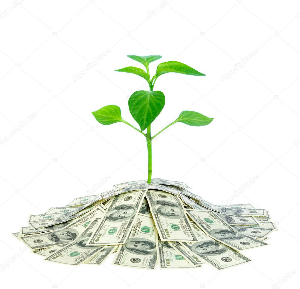 Plant in money