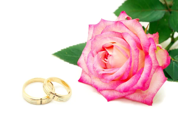 Rings and rose — Stock Photo, Image