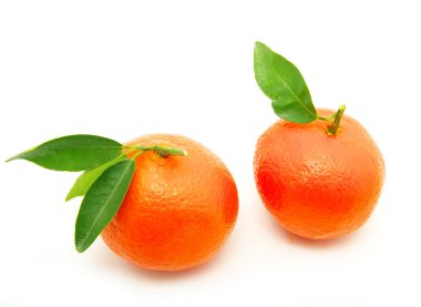 Tangerine clipart