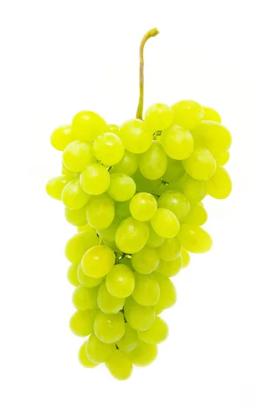 Uvas verdes — Foto de Stock