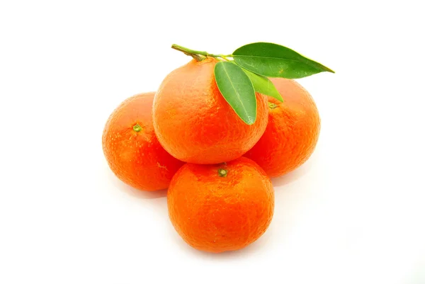 Mandarin; — Stok fotoğraf
