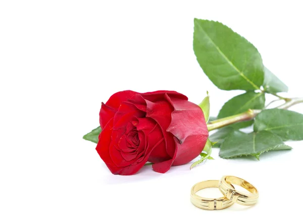 Τριαντάφυλλο και δαχτυλίδι — Φωτογραφία Αρχείου