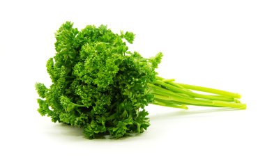 Parsley clipart