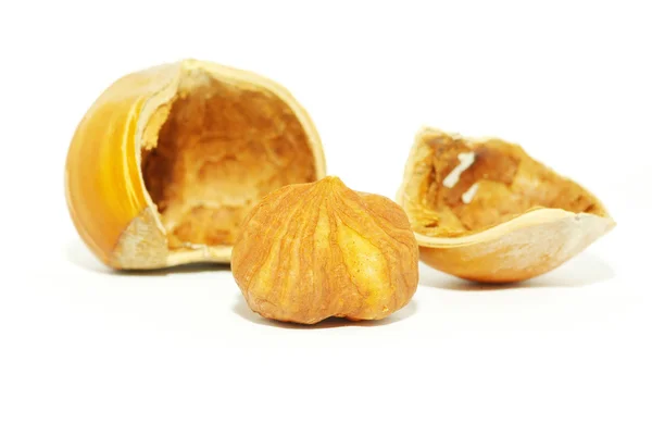 Hasselnötter på vit — Stockfoto
