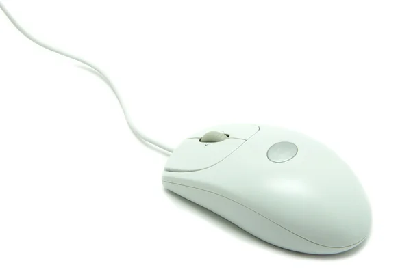 Ratón ordenador — Foto de Stock