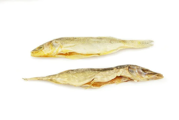 Roach fishes — Stock Photo, Image