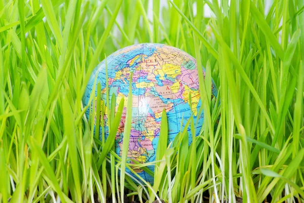 Globus im Gras — Stockfoto