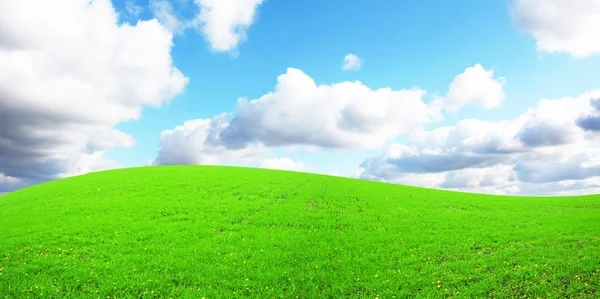 Green Field Sky Beautiful Landscape — Fotografia de Stock