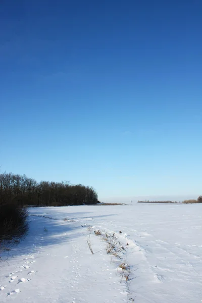 겨울 장면 — 스톡 사진