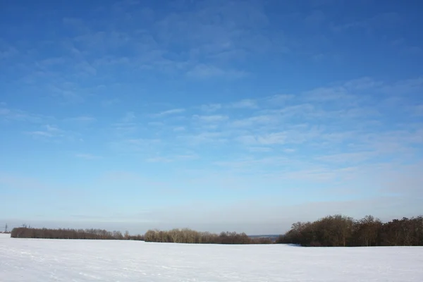 Zimowa scena Obraz Stockowy