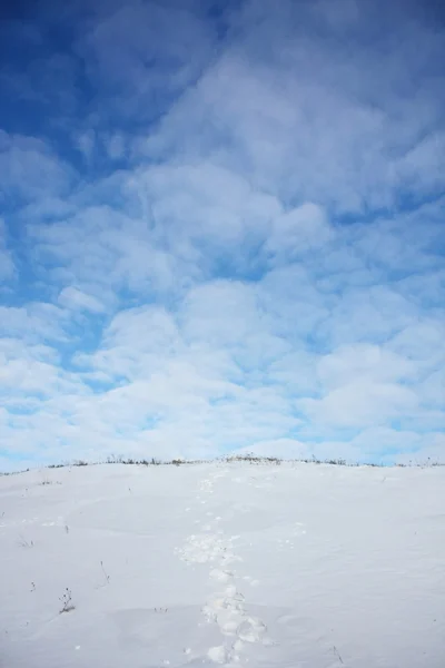 Escena de invierno Imagen de archivo