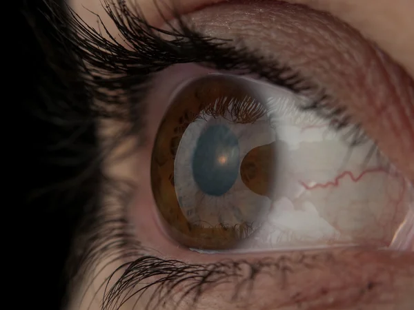 Macro olho humano — Fotografia de Stock