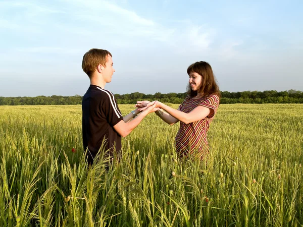 Young Couple Walking Field Holding Hands — Stock Photo, Image