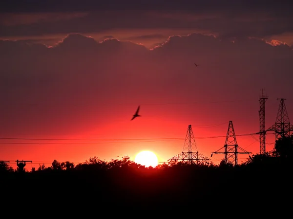 Rød solnedgang – stockfoto