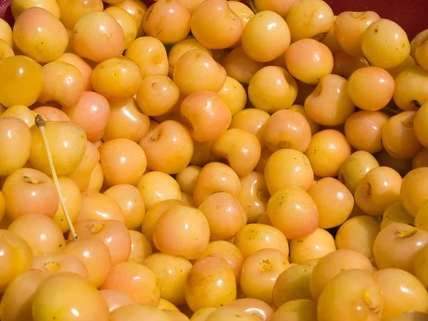 stock image Yellow cherries