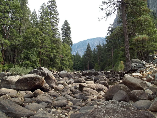 stock image Mountain creek Yosemite