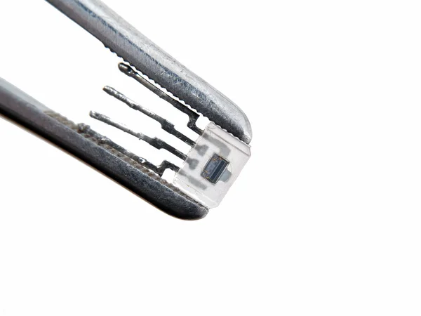 stock image Optron in tweezers